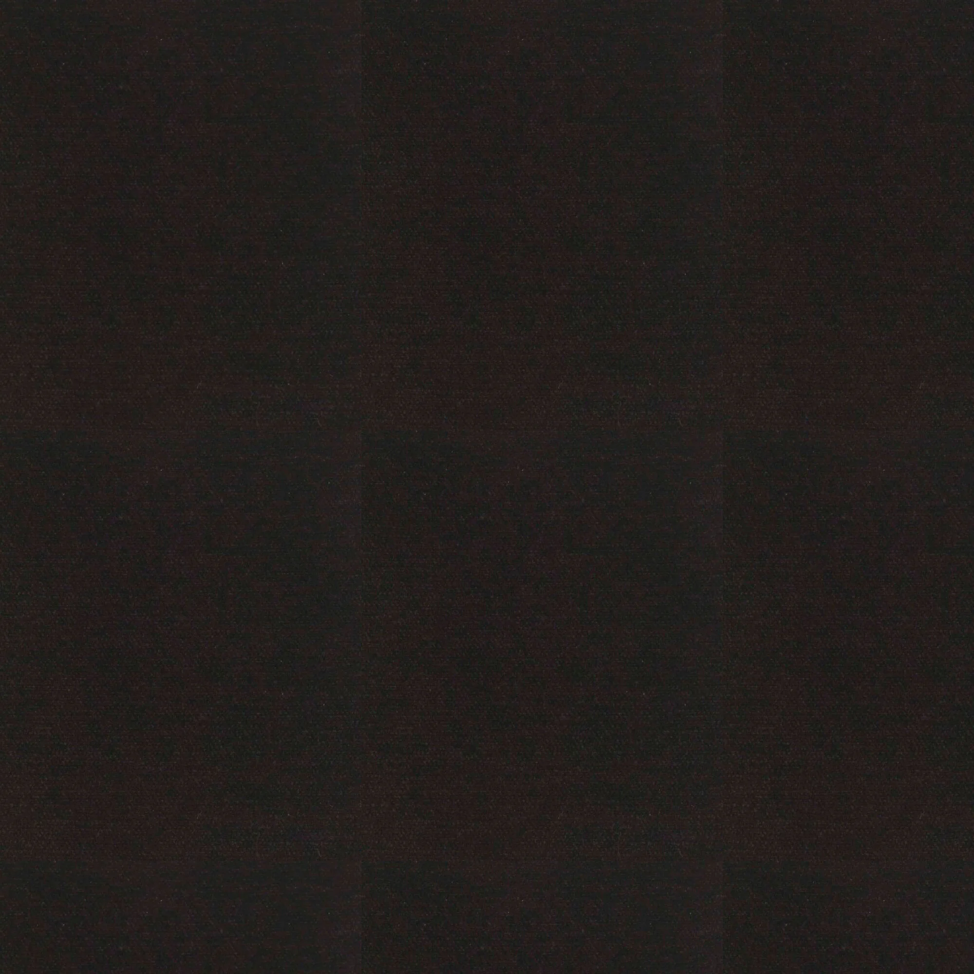 Everyday Velvet - Noir