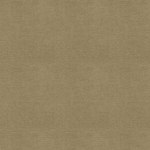 Everyday Velvet Beige