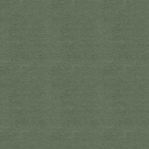 Everyday Velvet Jade