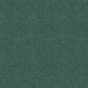 Everyday Velvet Petrol
