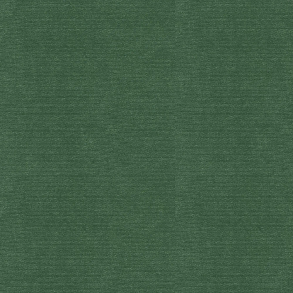 Everyday Velvet - Emerald