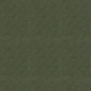 Everyday Velvet Moss