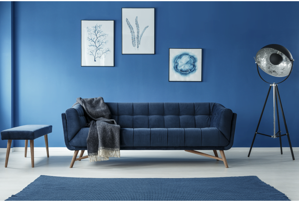 blue sofa feature