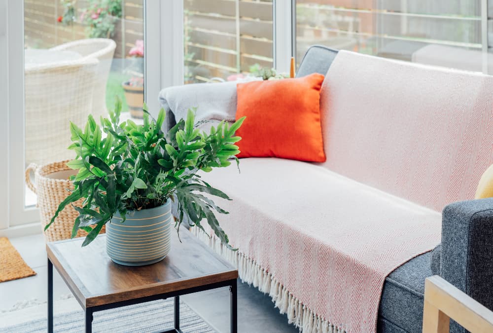 sofa covers